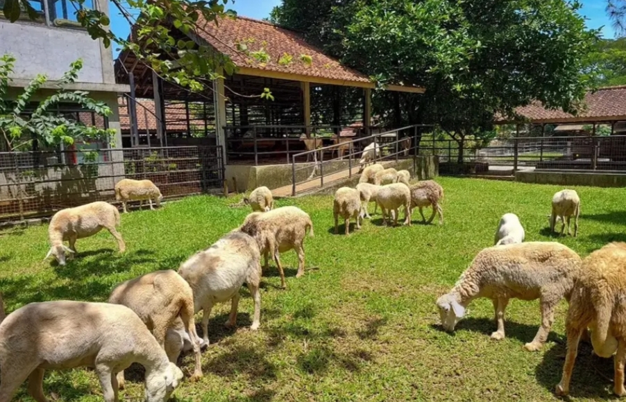 7 Wisata Edukatif Anak di Bogor yang Paling Hits, Cek Jam Buka dan Harga Tiketnya