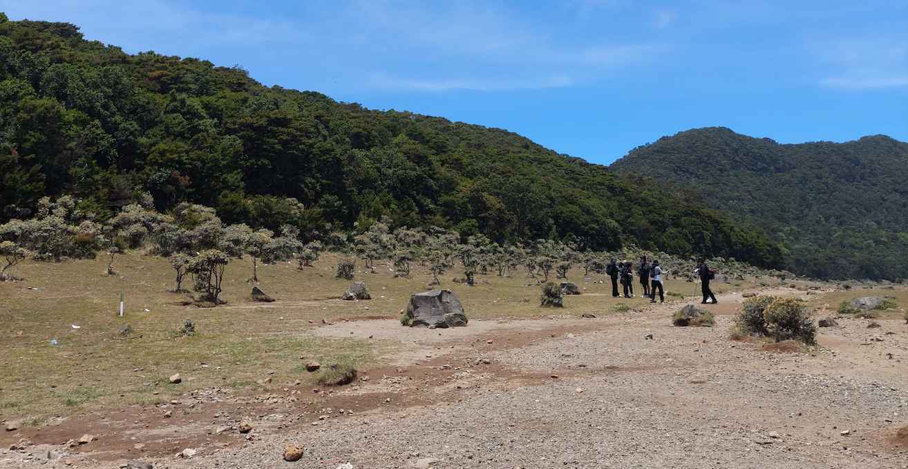 Gunung Gede Pangrango: Tren Mendaki yang Makin Populer di Kalangan Milenial