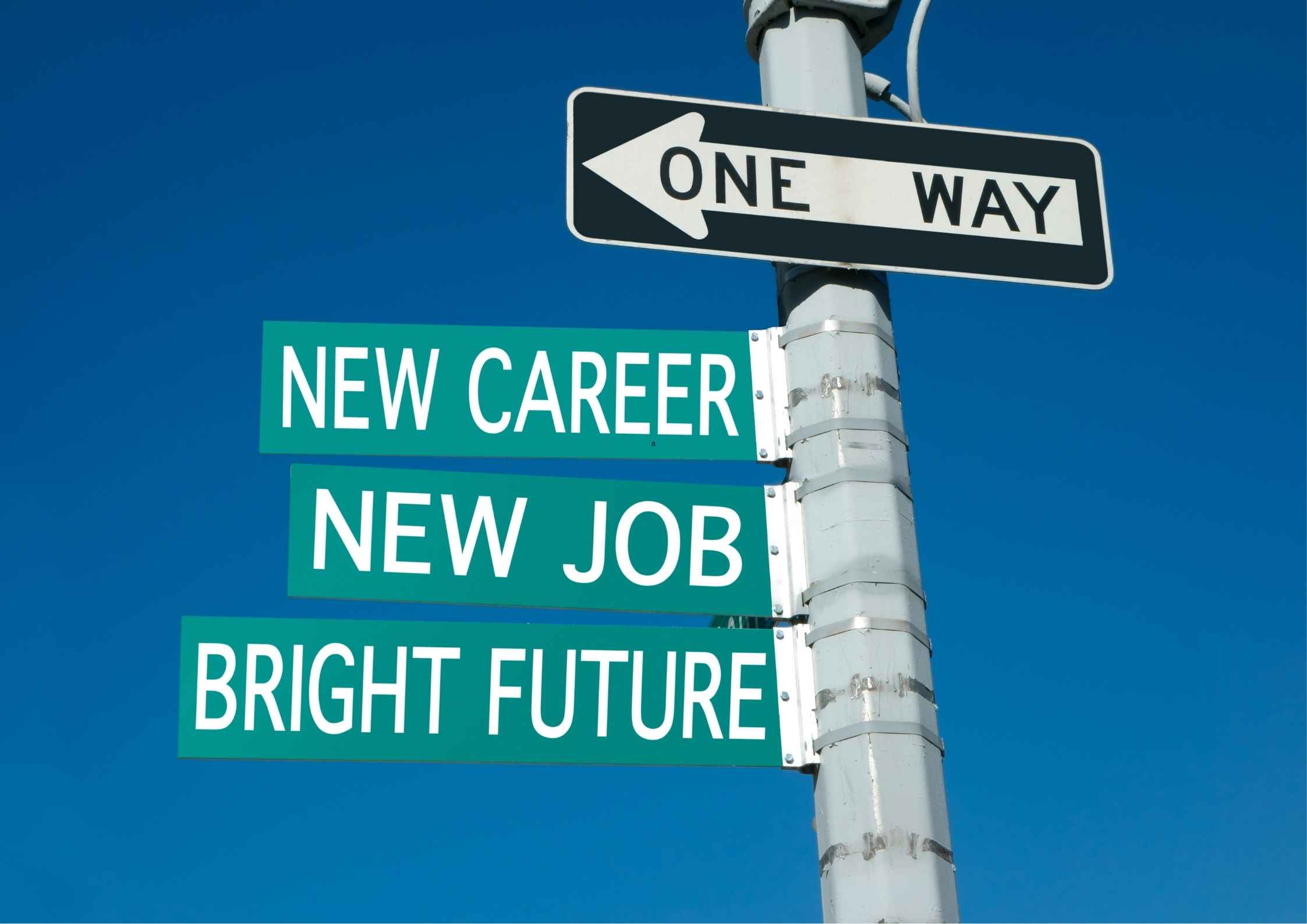 Modal Pengalaman Minim? Trik Menyusun CV untuk Career Switcher agar Dilirik Perusahaan