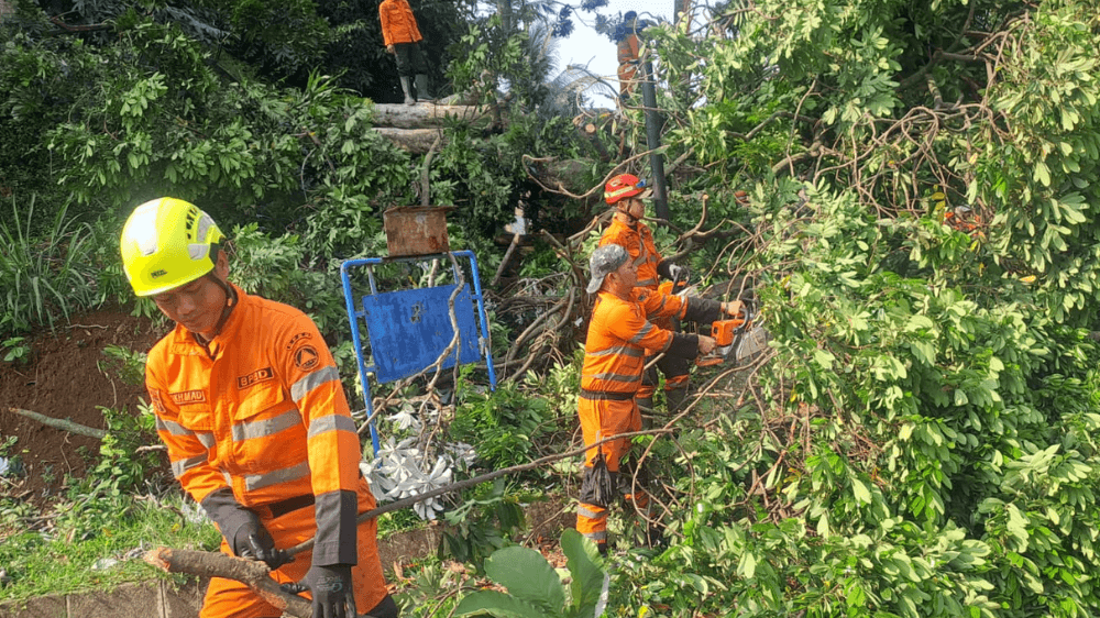 Pohon Tumbang di Villa Duta Bogor Timpa 2 Motor, 4 Orang Terluka