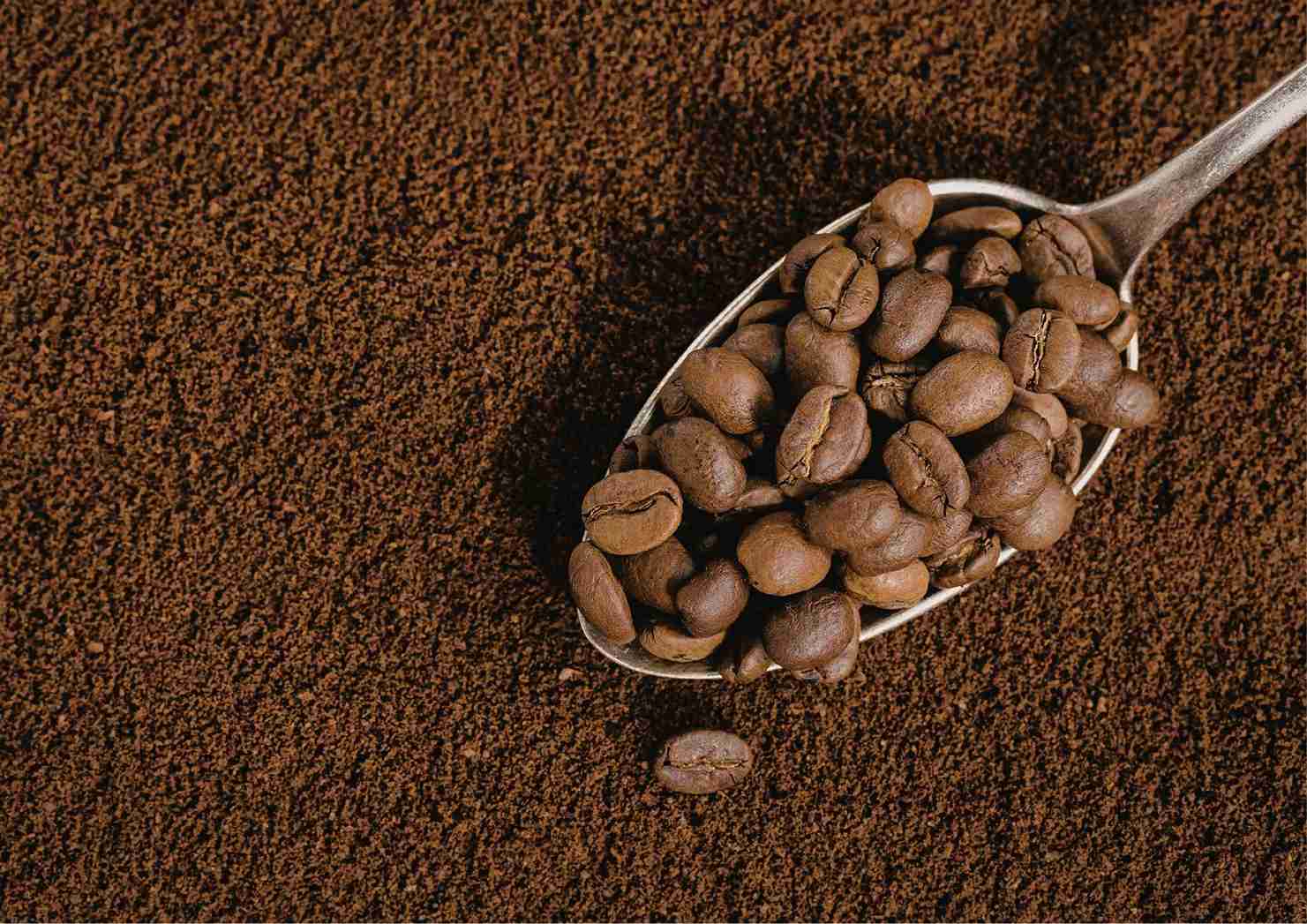 Jangan Asal Giling! Panduan Grind Size Kopi Agar Rasa Seduhan Anda Gak Gagal