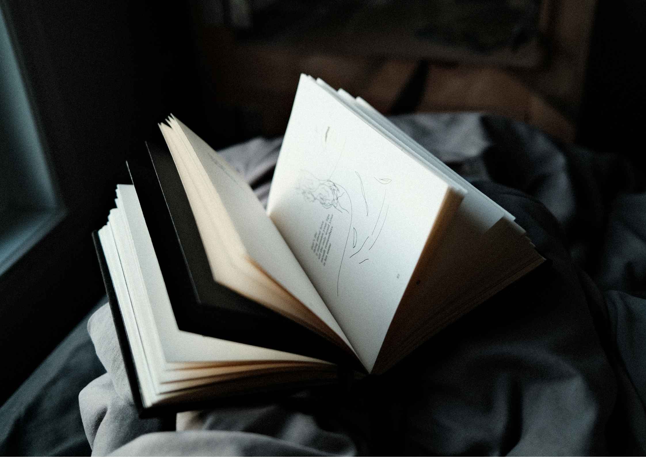 Pentingnya Literasi: Kompas Utama Navigasi Hidup di Era Banjir Informasi