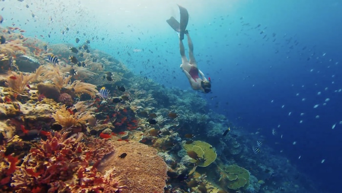 Wisata Raja Ampat: 7 Rahasia Surga Tersembunyi Papua yang Bikin Traveler Dunia Penasaran!