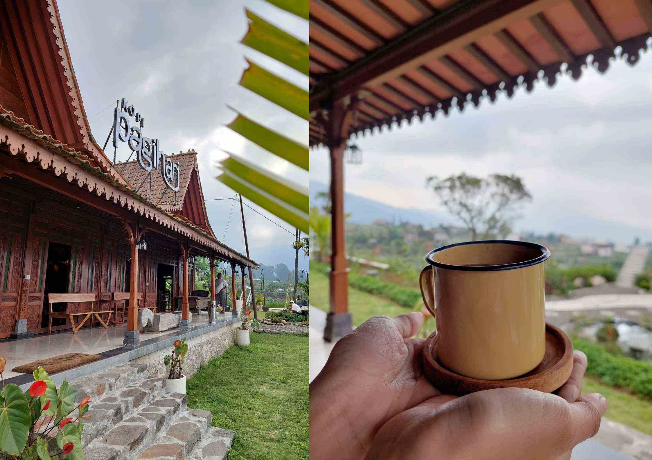 Kopi Pagi Hari: Cerita Kopi, Kabut, dan Gunung di Puncak Cianjur