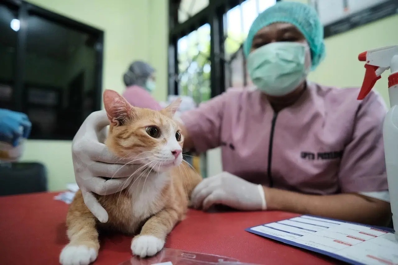 Depok Miliki Delapan Rabies Center untuk Tangani Kasus Gigitan Hewan Penular Rabies