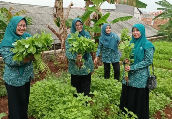 Urban Farming di Kelurahan Mekarsari Bantu Perbaiki Gizi Balita Lewat Panen Sayur Sehat