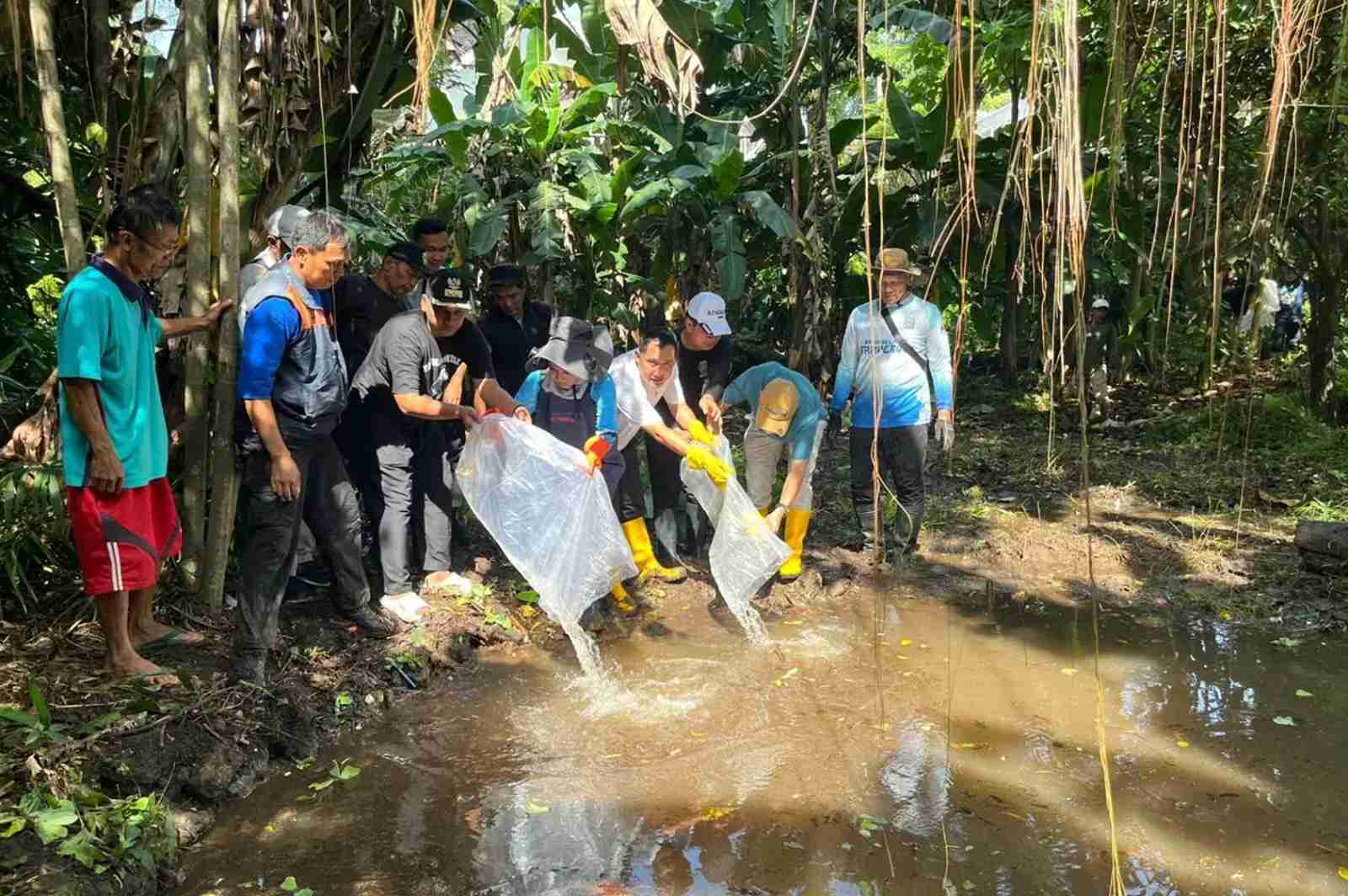 Revitalisasi Situ Gadog: Mata Air Dibersihkan, Ikan Dewa Ditebar