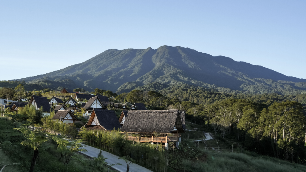 EIGER Nature Perkuat Pemulihan Lingkungan di Puncak, 120 Ribu Pohon Ditanam