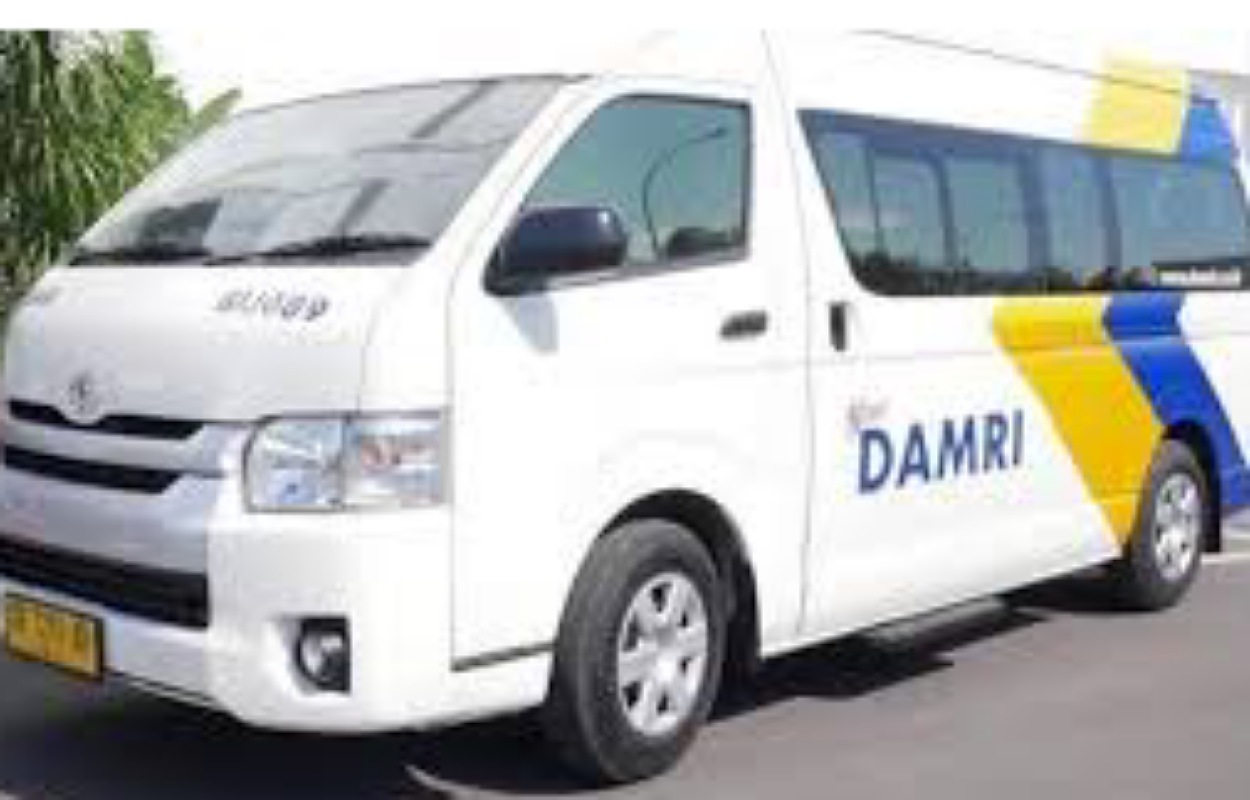 Kabar Baik untuk Warga Bogor! Rute Baru DAMRI Bandara Halim - Bogor Beroperasi Mulai Besok