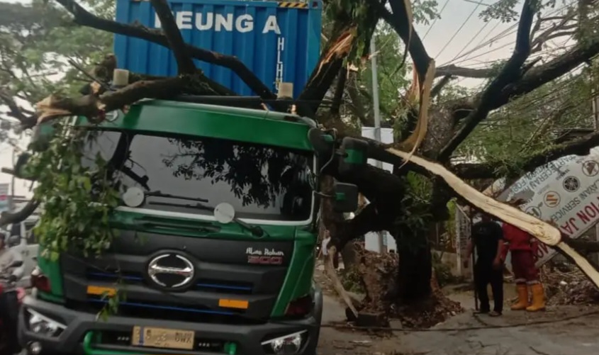 Gegara Ditabrak Truk, Pohon Tumbang di Depok Bikin Macet