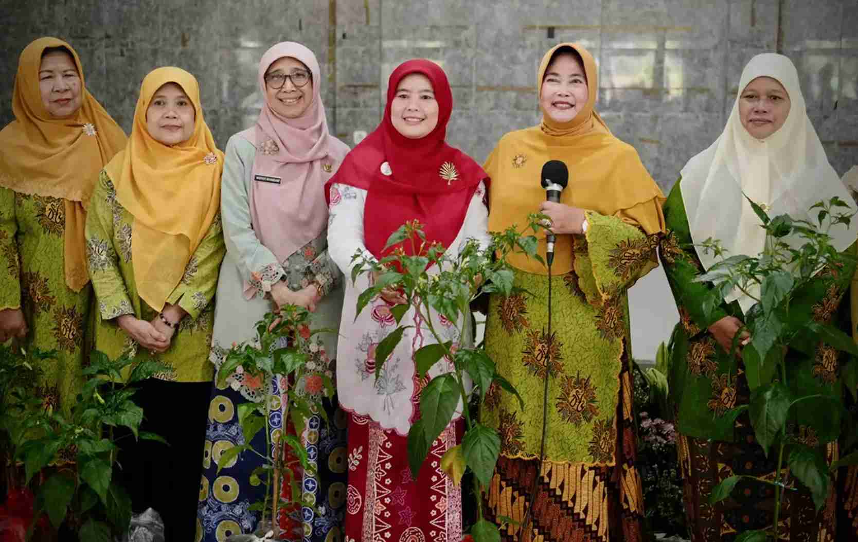 Gerakan Tanam Cabai Serentak, Depok Dorong Ketahanan Pangan dari Pekarangan