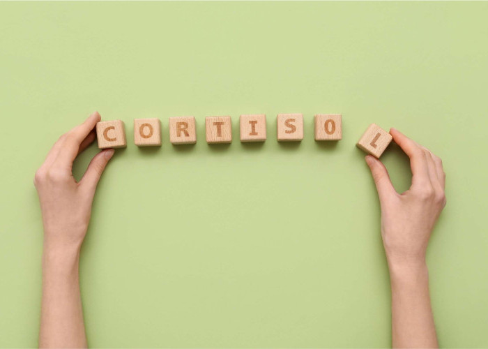 Tidur Berkualitas dan Perannya bagi Hormon