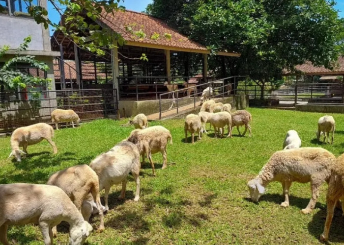 7 Wisata Edukatif Anak di Bogor yang Paling Hits, Cek Jam Buka dan Harga Tiketnya