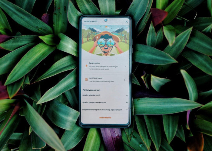 BNI Ajak Nasabah Kurangi Emisi Lewat Fitur wondr earth, Hitung Jejak Karbon hingga Tanam Pohon