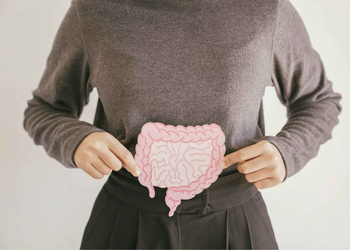 Daftar Makanan Sehat untuk Menjaga dan Memulihkan Usus