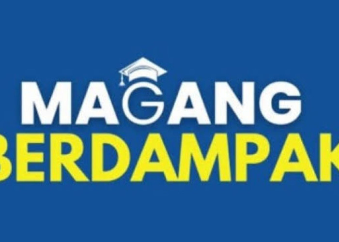 Program Magang Berdampak 2025 Resmi Diluncurkan, Ini Syarat & Daftarnya