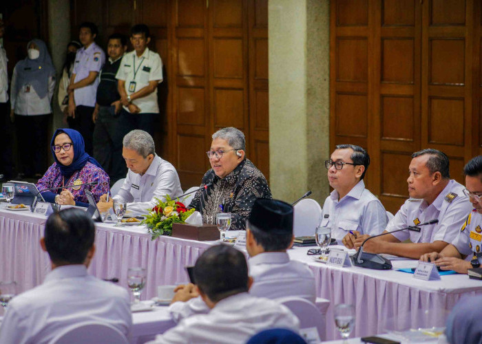 Dedie Rachim Dorong Sinergi Jabodetabek Wujudkan Transportasi Publik Modern