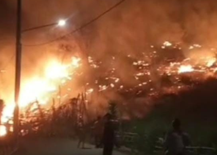 Lahan Kosong di Rumpin Bogor Terbakar, Diduga akibat Puntung Rokok