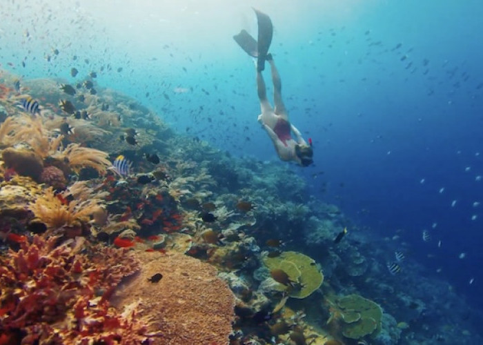 Wisata Raja Ampat: 7 Rahasia Surga Tersembunyi Papua yang Bikin Traveler Dunia Penasaran!