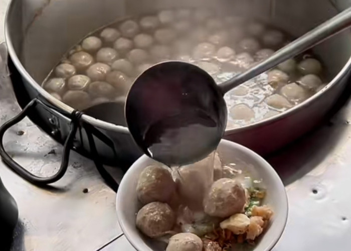 VIRAL! 5 Tempat Makan Bakso Paling Enak di Bogor, Sehari 100 Kg Daging Sapi Ludes