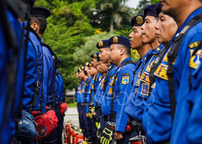 24 Ribu Pendaftar Damkar DKI, Cuma 17% yang Lolos! Apa Penyebabnya?