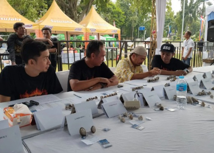 HUT ke-25 KOOD: Batu Akik Nusantara Jadi Ajang Silaturahmi dan Kompetisi