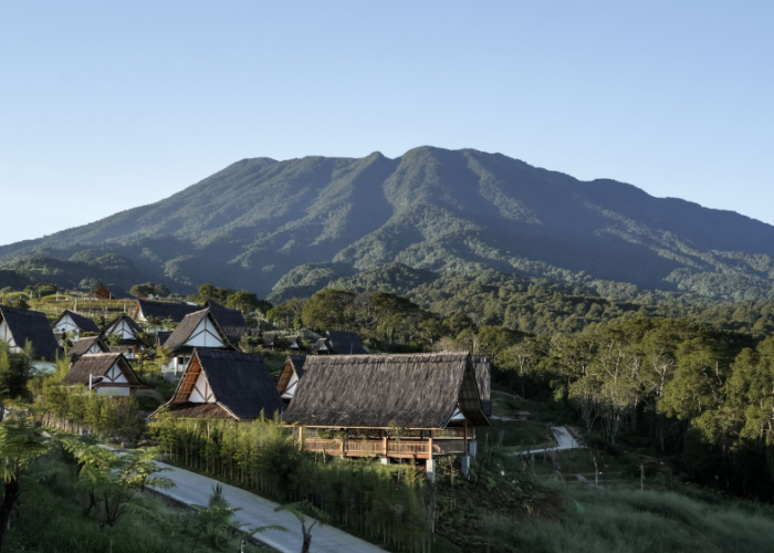 EIGER Nature Perkuat Pemulihan Lingkungan di Puncak, 120 Ribu Pohon Ditanam