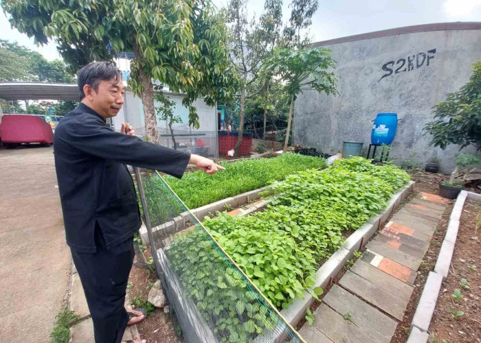 Kelurahan Kalimulya Dorong Warga Wujudkan Ketahanan Pangan Lewat Urban Farming