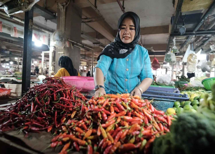 BPS: Kota Depok Alami Deflasi 0,29 Persen pada Agustus 2025