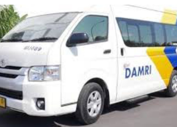 Kabar Baik untuk Warga Bogor! Rute Baru DAMRI Bandara Halim - Bogor Beroperasi Mulai Besok