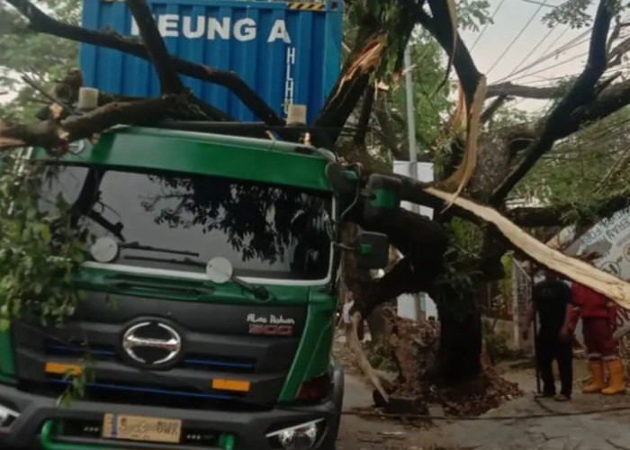 Gegara Ditabrak Truk, Pohon Tumbang di Depok Bikin Macet