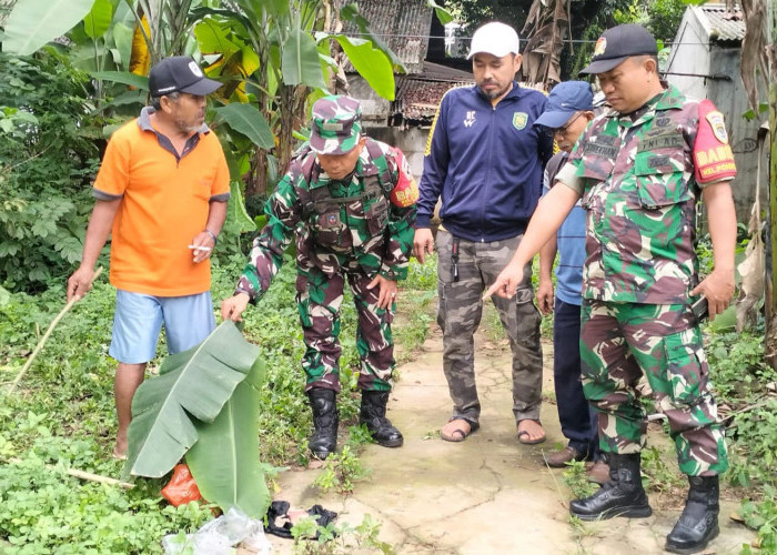 Geger, Warga Pondok Aren Temukan Jasad Bayi di Tumpukan Sampah