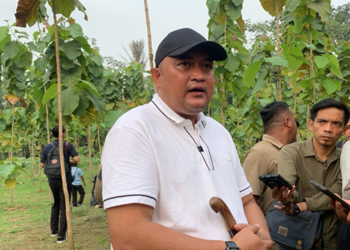 Pemkab Bogor Siagakan Satgas Gabungan hingga Desa, Cegah Karhutla