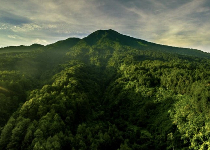 Seorang Lansia 60 Tahun Hilang di Gunung Salak, Ini Kronologinya