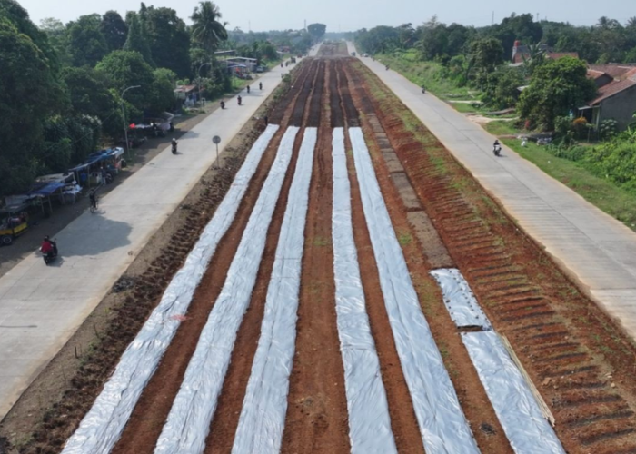 Satgas Korem 061/SK Kebut Produktivitas Lahan Bomang, Perkuat Ketahanan Pangan