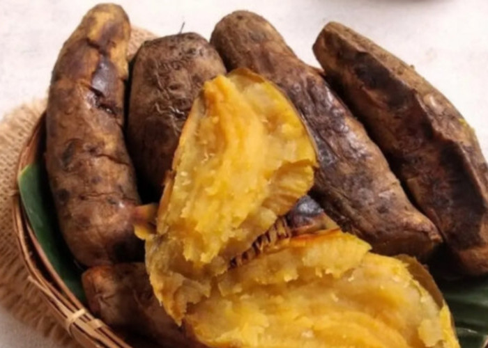 Legit dan Bikin Nagih, Ini Alasan Kenapa Ubi Cilembu Lebih Manis Saat Dipanggang