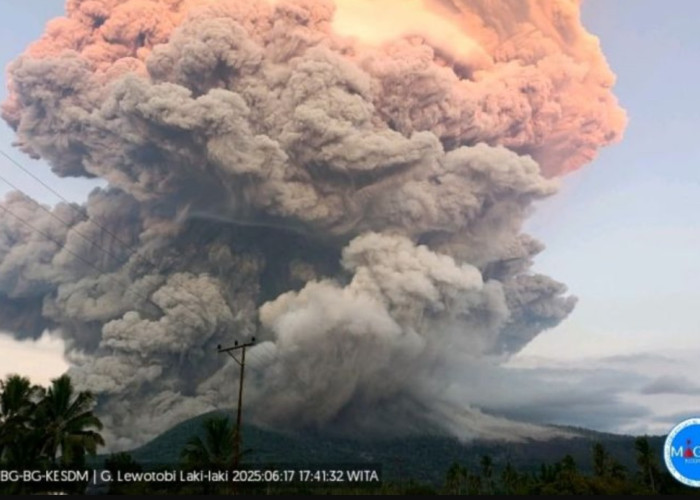 Penerbangan ke Bali-Lombok Lumpuh Total Buntut Erupsi Gunung Lewotobi