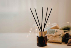 Trik Rumah Wangi ala Resort Mewah: Panduan Memilih Diffuser dan Essential Oil yang Tepat