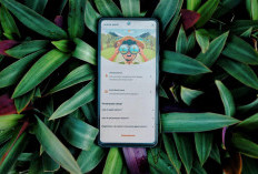 BNI Ajak Nasabah Kurangi Emisi Lewat Fitur wondr earth, Hitung Jejak Karbon hingga Tanam Pohon