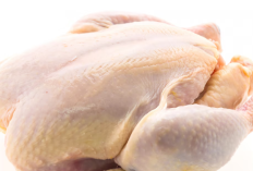 Ayam Kampung vs Broiler, Mana yang Lebih Bergizi? 