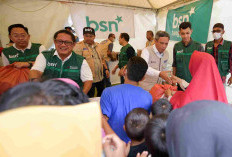 BTN Dukung Danantara Bangun Hunian Layak untuk Korban Banjir di Aceh Tamiang