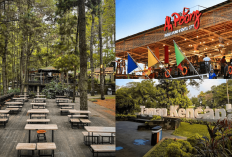 Wisata Malam Bogor yang Lagi Viral: City Light dari Ketinggian Tanpa Macet-macetan