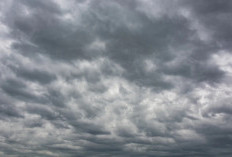 Peringatan Dini BMKG Cuaca di Bogor 1-2 April 2026, Waspada dan Sedia Payung Sebelum Hujan