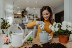 Hobi Murah, Kebahagiaan Melimpah: Cara Menikmati Waktu Luang secara Frugal