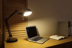 Sering Pusing saat WFH? Ini Aturan Posisi Lampu dan Layar Monitor yang Benar untuk Mata