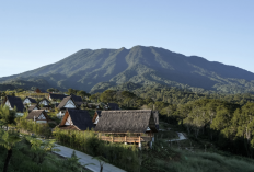 EIGER Nature Perkuat Pemulihan Lingkungan di Puncak, 120 Ribu Pohon Ditanam