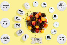 Mineral Esensial untuk Menjaga Kesehatan