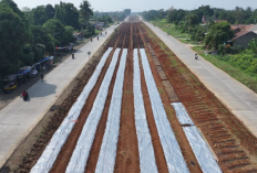 Satgas Korem 061/SK Kebut Produktivitas Lahan Bomang, Perkuat Ketahanan Pangan