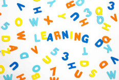 Tips Efektif Memulai Belajar Bahasa Asing