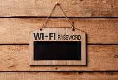 Awas Data Bocor! Panduan Selamat dari Jebakan Wi-Fi Publik yang Sering Dianggap Aman